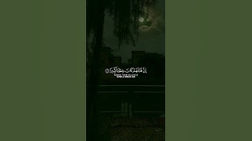 تلاوة القارئ الشيخ ياسر الدوسري - سورة الاسراء #ياسر_الدوسري #القرآن #راحة_نفسية #ارح_قلبك #ارح_سمعك