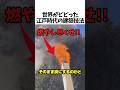 江戸時代の建築技法が海外で称賛