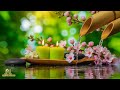 Soothing Calming Music for Stress Relief 🌿 Reduce Worry &amp; Overthinking with Gentle Relaxing Melodies