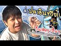 ออกเรือล่าปลาอินทรีย์ แล่กินแบบสดๆกลางทะเล (ทริปตกปลา@บางเสร่ EP.2/2)