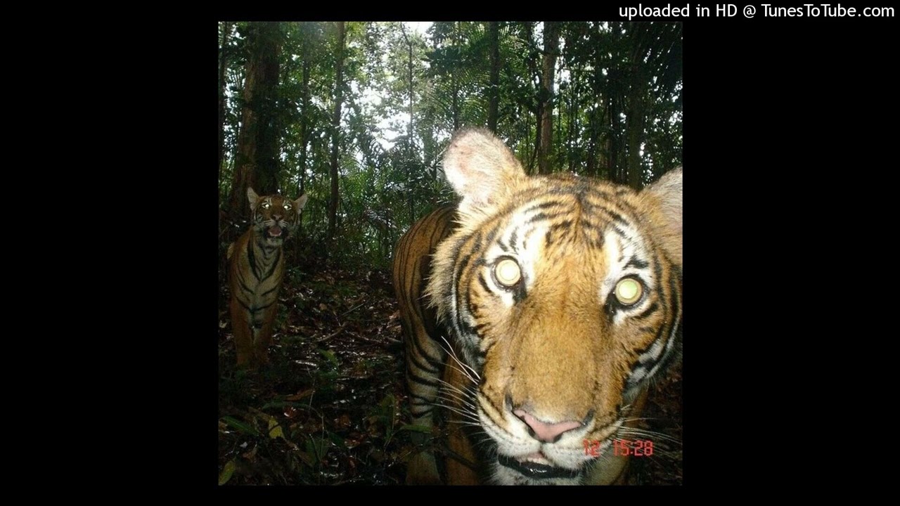 du zeigst mir wie man weint ohne s zu spüren