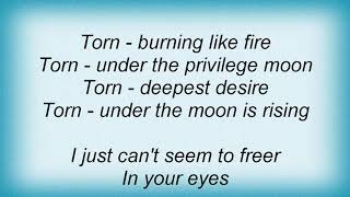 At Vance - Torn - Burning Like Fire Lyrics