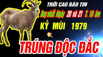 Trời thương phật độ đúng 2 ngày tới- Tuổi KỶ MÙI 1979 TRÚNG SỐ BẤT NGỜ GIÀU SANG KHÓ CƯỠNG