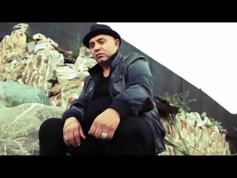 NICOLAE GUTA MAINE PLEC ACASA