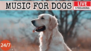 [LIVE] Dog MusicCalming Music for Dog Deep SleepSeparation Anxiety Music for Dog Relaxation