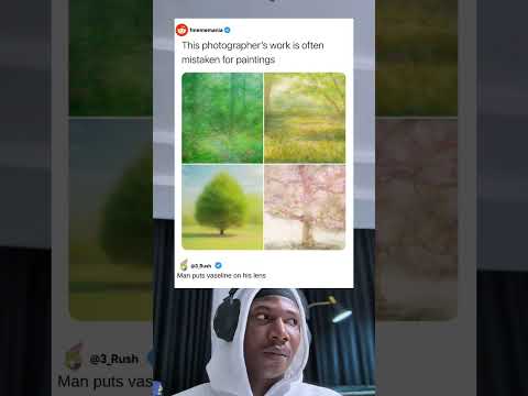 صور مخطئة على أنها لوحات فنية