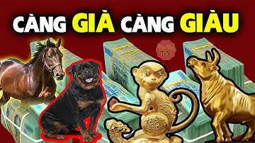 BẬT MÍ 4 Con Giáp CÀNG GIÀ CÀNG GIÀU, KHỔ TRƯỚC SƯỚNG SAU, Tiền Chất Đầy Két, Tiêu 3 Đời Không Hết