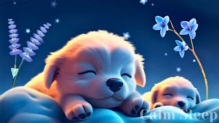 Download lagu (No Ads) Sleep Instantly Tonight • Healing Music for Overthinking, Stress & Deep Rest