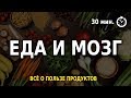 Еда и Мозг (Дэвид Перлмуттер) Саммари про Здоровое Питание