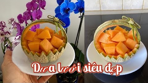 Cách Cắt Tỉa Dưa Lưới Siêu Đẹp Đơn Giản Tại Nhà