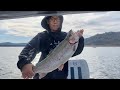 COLLINS LAKE TROPHY TROUT FISHING 7LB RAINBOW