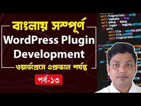 WordPress Plugin Development