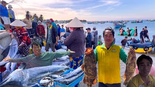 Lưới Cảng Trúng Cá Cờ 100kg | Mùa Sò Ốc Biển Quê Minh