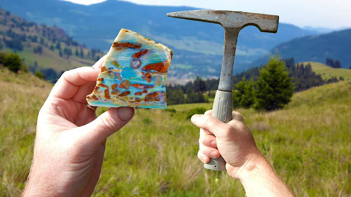 Super RARE GEM stone found while checking out my n...