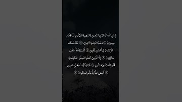 Surah Al teen 💖 | سورة التين | سورة التين بصوت جميل جدا  |