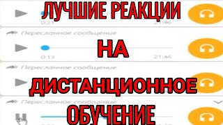 Лучшие Реакции На Дистанционное Обучение | До Слёз