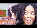 How To | Detangling Natural Hair