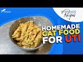 Recipe: Homemade Cat Food for UTI