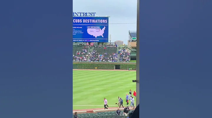 Across the Field - Chicago Cubs Organ Player