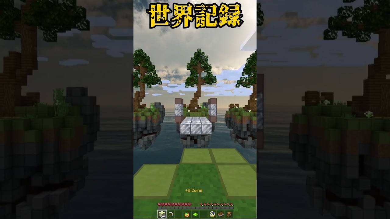 【マイクラ】中学生がアスレチック世界記録出しました。