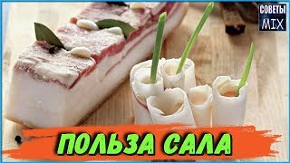 5 полезных свойств сала, которые Вас приятно удивят. Самые интересные факты о сале 5 полезных свойств сала, которые Вас приятно удивят. Самые интересные факты о сале