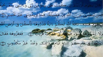 سورة هود الايات 61 الى 68