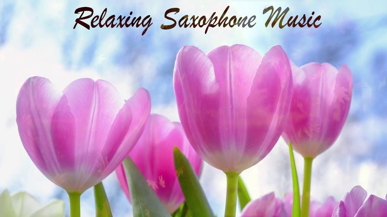 太好聽了👍👍👍薩克斯風 老歌輕音樂 放鬆解壓 Relaxing Chinese Saxophone Music YouTube