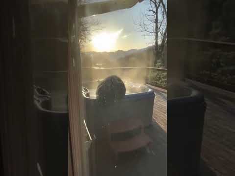 A Bear Relaxes