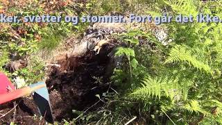 Planting med hakke by Christian Koksvik 42 views 1 year ago 1 minute, 55 seconds