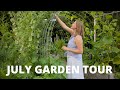 July Garden Tour | lavender lemonade and exciting changes happening!