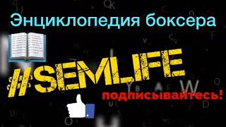 ЭБ #1: история породы собак боксер от палеолитического человека ЭБ #1: история породы собак боксер от палеолитического человека