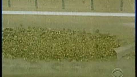 Investigating Anthrax