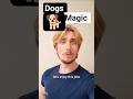 What do you call a dog that does magic tricks? 😂😂| comedy Star Adrian| #comedy #englishjoke #viral