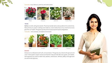 Chapter-4 Getting to Know Plants | EVS-3 | Tanquiri | School Learning