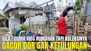 SEMUA BURUNG GACORAN DI KIOS RUMAHAN INI ! JUALNYA FULLSET SIAP PANTAU LAPANGAN ! EMANG GAK RUGI BRO