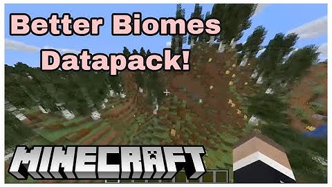 Better Biomes Datapack Review! | Minecraft Datapacks #2