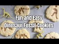 Fun and easy dinosaur fossil cookies