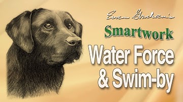 Smartwork: How to Build Water Confidence in Retrievers