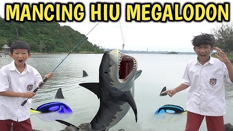 ADNAN MANCING IKAN HIU MEGALODON TERBESAR YANG PERNAH ADA
