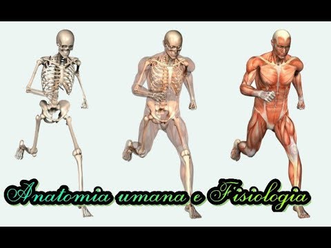 Anatomia e Fisiologia lezione 1