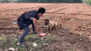 这个马犬神了！！！#生活 #宠物 #dog by 龙龙要努力 70 views 4 months ago 2 minutes, 45 seconds
