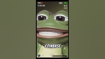 "If You Invested $100 in Pepe Coin at Launch, Here