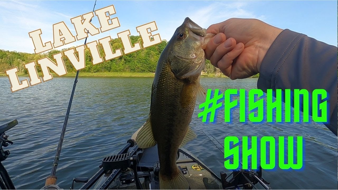The Navigating Angler Lake Linville; Mt Vernon, KY YouTube