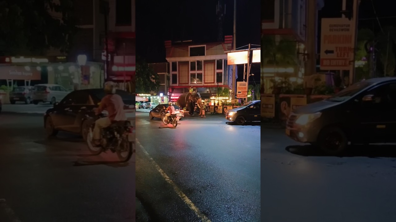 ആനയെ നടുറോഡിൽ ബ്ലോക്ക് ചെയുന്നത് കണ്ടോ 😱😱😱#shortsfeed #shorts #viral #shortsviral #short #subscribe