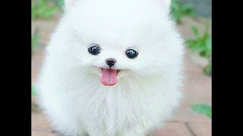 Java物件導向 重觀念迅速教學 (1) Class and Object ; Abstraction 什麼是OOP ? 為何使用OOP?