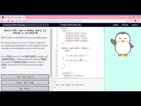 Learn Basic CSS