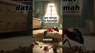 3 tanda baik semut banyak datang kerumah dalam islam. #islam #hewan #viral #shortvideo