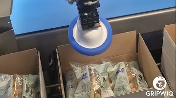 Robotic packing | GRIPWIQ Gripper CS | Seafood | Bags | Delta robot