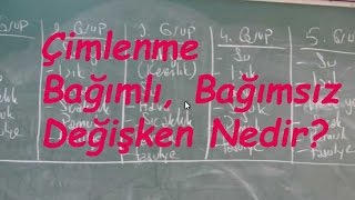 Çi̇mlenme Bağımlı, Bağımsız Değişken