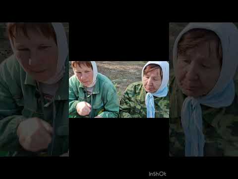 ЧТО ЕДЯТ НАШИ